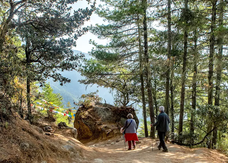 Tiger Nest